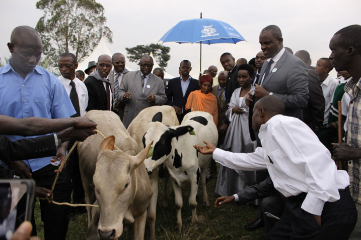 Abatishoboye barokotse Jenoside borojwe inka.