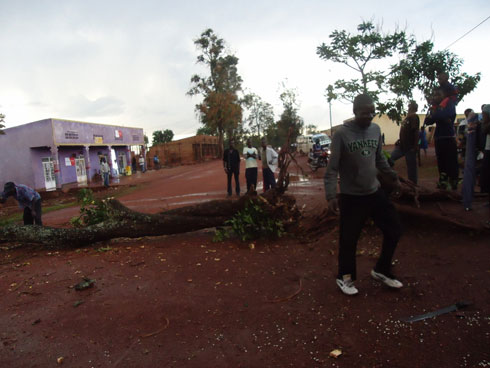 Abaturage batabaye bwangu batema igiti cyari kuguye mu muhanda ngo imodoka zibone uko zongera kugenda.