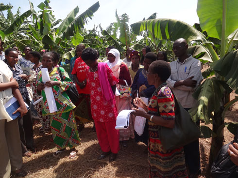 Abaturage bo mu murenge wa Musaza basobanura ibyiza by'ishuri mu murima.