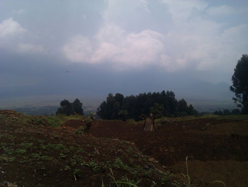 Abaturage ku mpande zombi z