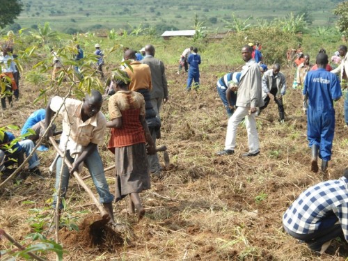 Abaturage bafatanyije n