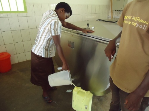 BAbaturage baza kugura amata ku ikaragiro rshya.