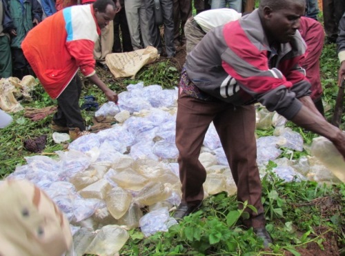 Abaturage bifatanyije n'ubuyobozi mugutwika ibiyobyabwenge.