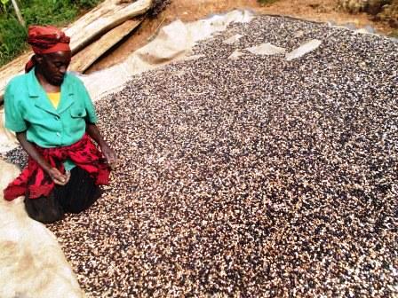 Abatuye ku musozi uri hakurya yabo bavuga ko bo babonye imvura ihagije.