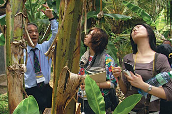 Abayapani bazobereye mu gukora impapuro mu nsina.