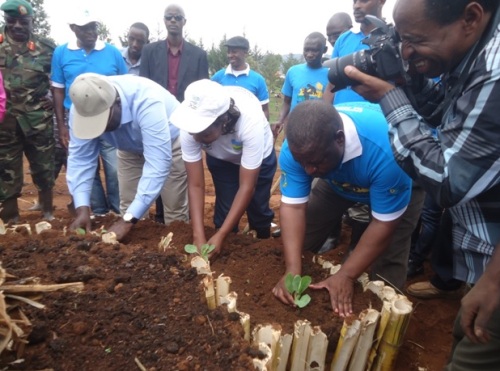 Abayobozi batandukanye batera imboga mu karima k'igikoni (Foto: L. Nshimiyimana)