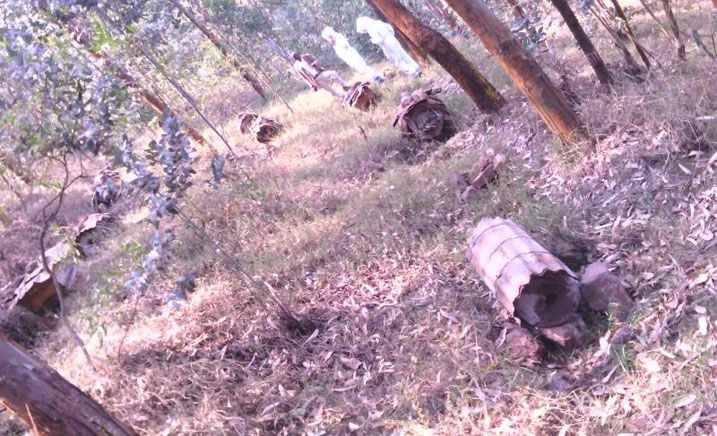 Abenshi mu bavumvu bo mu gace k