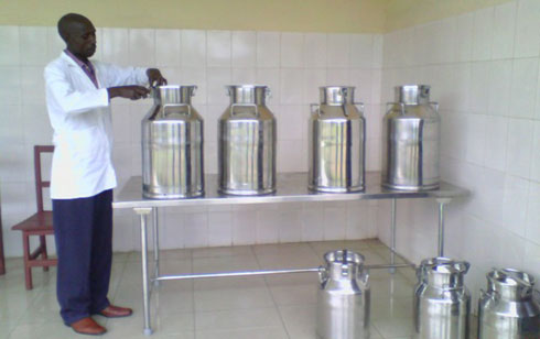 Aborozi bazanye amata bayashyira ahabugenewe mbere yuko apimwa.