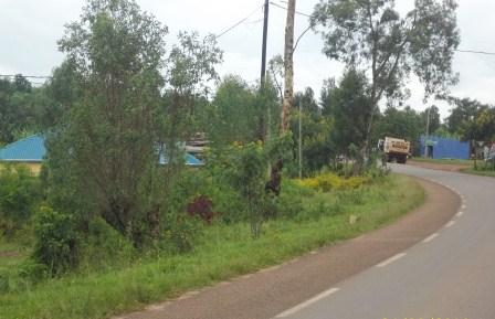 Aha naho hari haratewe ubusitani bwitiriwe Mutsindashyaka.