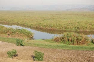 Umurima w'urumogi wafumbuwe muri uru rufunzo.