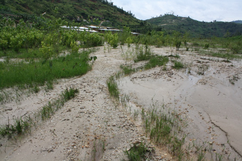 Aha niho hahoze amagweja ya CODRS.