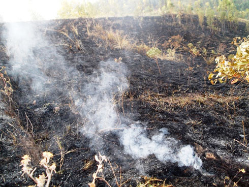 Ahahiye mu ishyamba rya Leta n'igice cy'abaturage hagera kuri hegitari 20.
