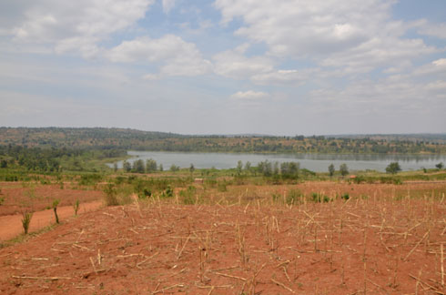 Ahandi hateganyijwe kuzahingwa ibigori.