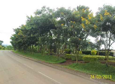 Aho ubusitani bwafashe hafite isura yihariye.