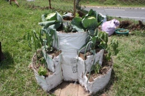 Akarima k'Igikoni ni kimwe mubifasha mu kurwanya imirire mibi.