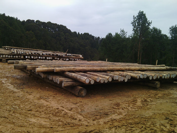 Amapoto atunganywa n