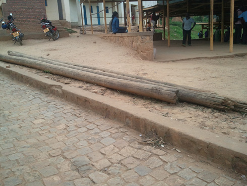 Amapoto yariho insinga z