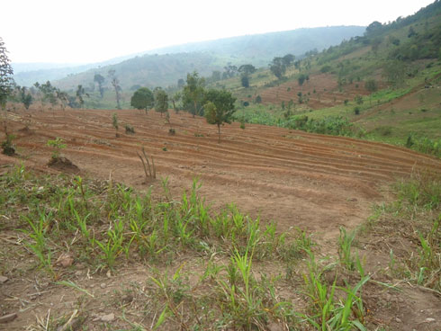 Tariki 22/10/2013 nta muntu wigeze asubirayo gukora mu materasi kubera ngo ikibazo cy'inzara.