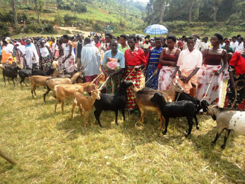 Amatungo bahabwa azabafasha kwivana mu bukene.