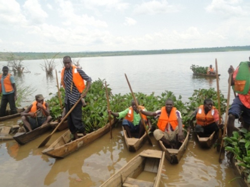 Amwe mu mato azanye amarebe yaranduwe mu kiyaga hagati.