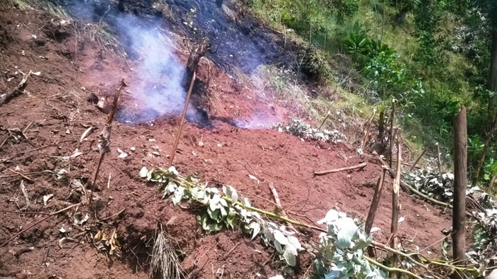 Aya makara akekwaho kuba ari yo yabaye intandaro y