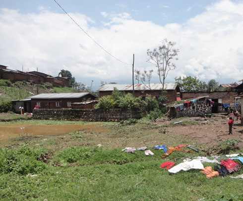 Aya mazu ari hejuru y'ikidedenzi cy'amazi yatera indwara zitandukanye.