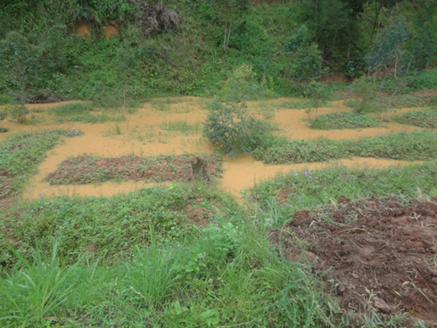 Aya mazi niyo yagiye yinjira mumuhanda atuma wika.