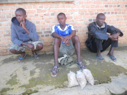 Bafatanywe imisongo 1126 y'urumongi.