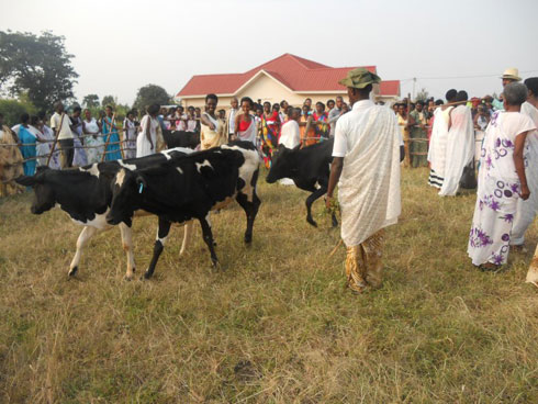 Bagabiye inka Abanyakamonyi.