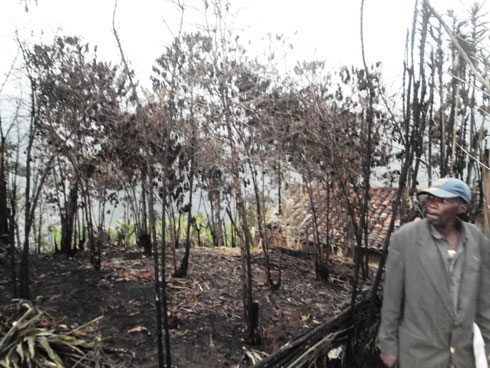 Banyangandora yemeye amakosa avuga ko yabitewe n