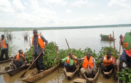 Barimo gukura amarebe mu kiyaga cya Rumira.