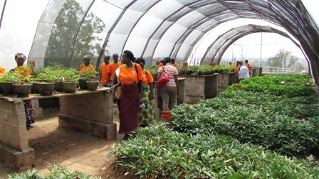 Basura ahatuburirwa imbuto.