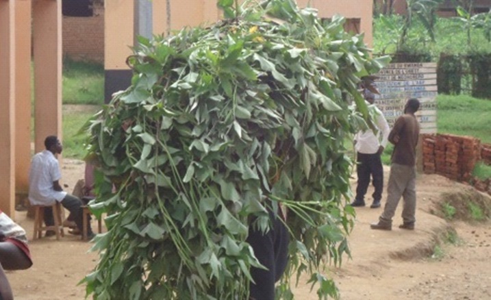 Bazanye imbuto zitandukanye ngo zihabwe umugisha.