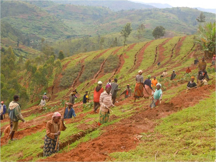 Bimwe mu bikorwa bya VUP byatanze akazi ku baturage.