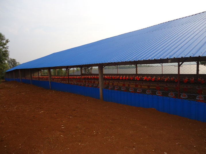 Bimwe mu bizu Haguminshuti yororeramo inkoko.