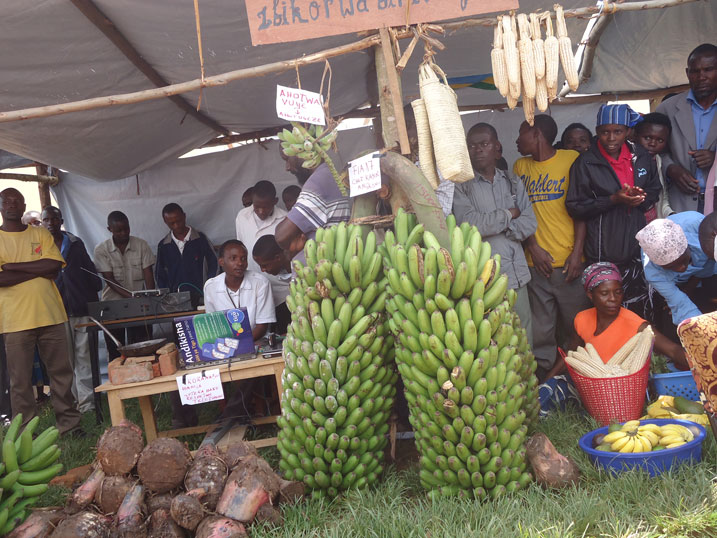 Ibi bitoki bifite uburemere bwa kilogarama 200 ngo ni imbuto bagejejweho na FPR Inkotanyi.