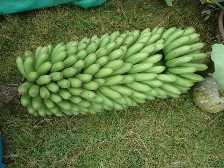 Bimwe mu bikorwa abagore bagenda bageraho byatangaje abagize umuryango COCAFEM.