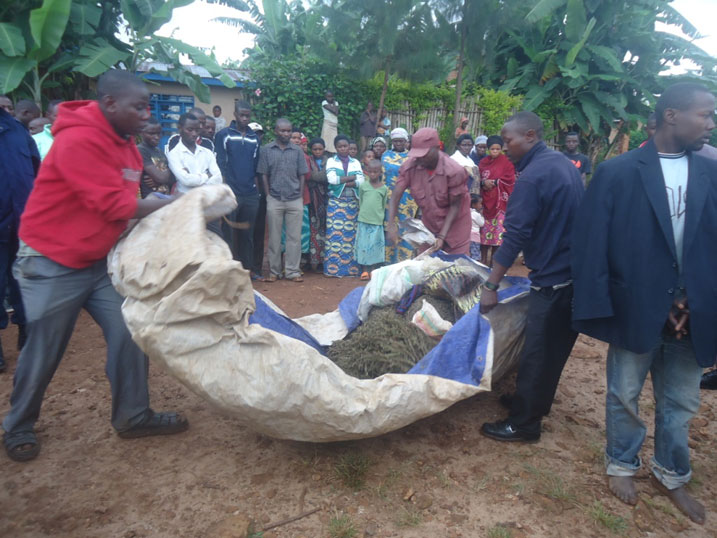 Ibi ni ibiyobyabwenge byafatiwe aho mu murenge wa Mururu ngo byari byavuye muri Congo bije gucuruzwa mu Rwanda.