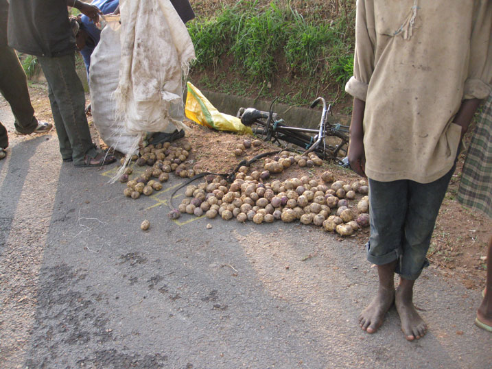 Camubanzi yari ahetse ibirayi ku igare abijyanye mu mujyi wa Nyamagabe.