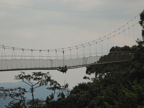 Canopy Walk way (kugenda ku kiraro kiri mu kirere) ni kimwe mu bikurura Abanyarwanda benshi.
