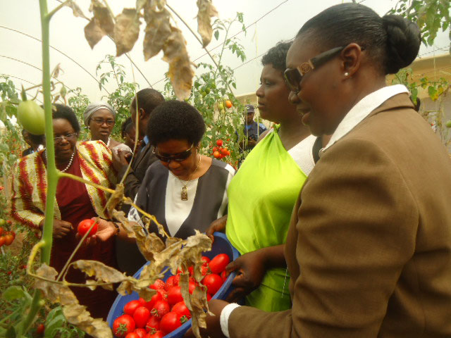 Dr. Phumzile Mlambo Ngcuka, w'izobe hagati, asura inzu ihingwamo inyanya i Kinazi ya koperative Terimbere Mutegarugori.