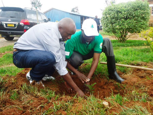 Dr Harebamungu Mathias (iburyo) n'umuyobozi w'akarere ka Nyamasheke Habyarimana J. Baptiste babanje kwifatanya n'abaturage mu muganda wo gutera igiti.