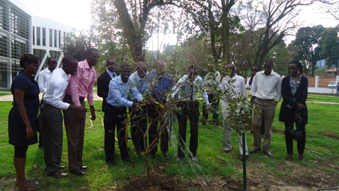 Abanyeshuli b'Abanyarwanda basize bavomereye igiti Perezida Paul Kagame yasize ateye mu busitani bw'inyubako ya EAC mu mujyi wa Arusha.