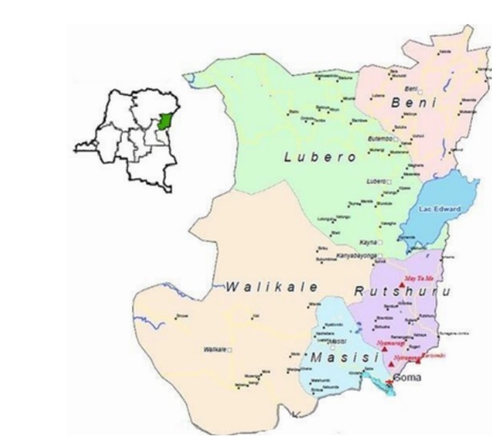 FDLR irava walikale igana Rutshuro na Nyiragongo ku mupaka w'u Rwanda.