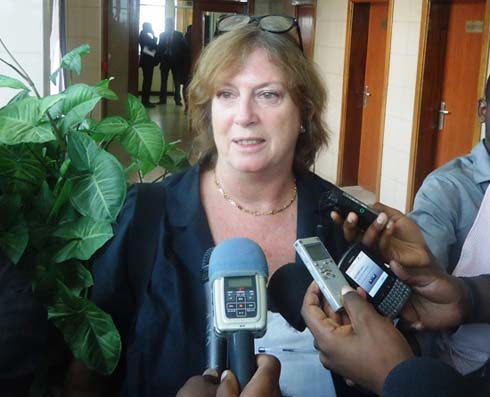 Umuyobozi wa EU ushinzwe Afrika yo munsi y