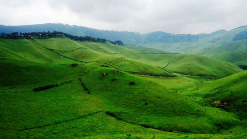 Aha ni hamwe mu hakorerwa ubworozi muri Gishwati, ngo hashobora no kuryohera ijisho ry