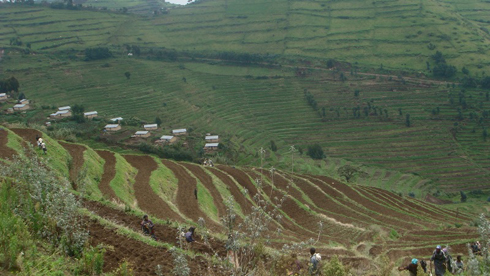 Hamwe mu hamaze gutunganywa n'inkeragutabara muri Gishwati. 