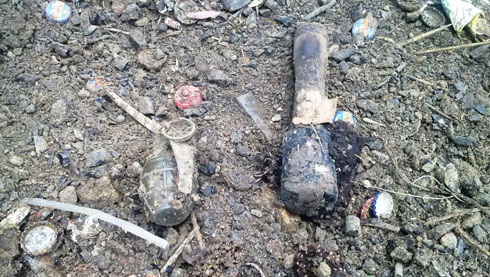 Ibumoso: grenade y'inyamerika, iburyo grenade y'inshinwa ifite igiti.