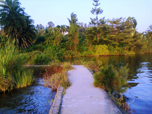 Amatongo ya Guest House muri uyu mwaka wa 2013.