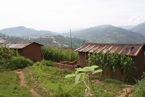 Gusana bizahera ku mazu yangiritse cyane.